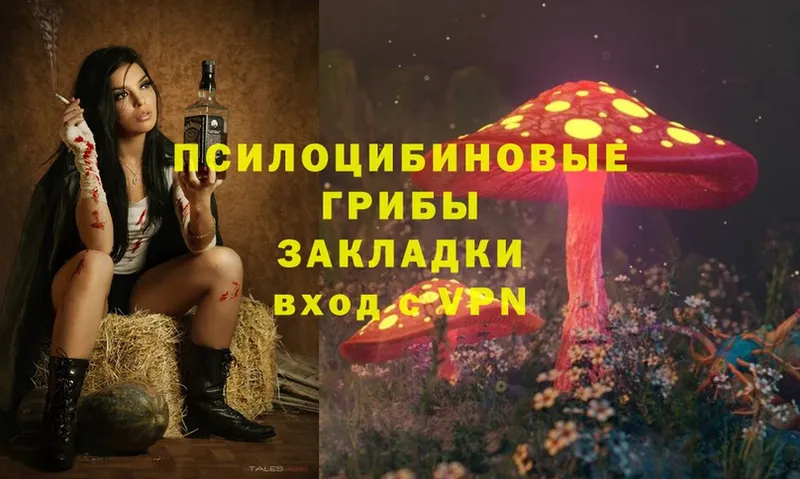 что такое   Княгинино  Псилоцибиновые грибы MAGIC MUSHROOMS 